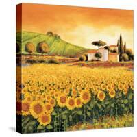 Valley of Sunflowers-Richard Leblanc-Stretched Canvas