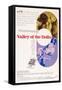 Valley of the Dolls, Sharon Tate, Patty Duke, Susan Hayward, 1967-null-Framed Stretched Canvas