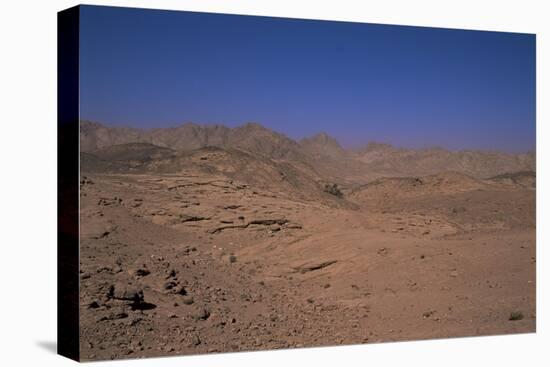 Valley of the Gazelles on the Road to St. Catherine's Monastery, Sinai Desert, Egypt-Nelly Boyd-Stretched Canvas