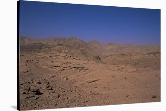 Valley of the Gazelles on the Road to St. Catherine's Monastery, Sinai Desert, Egypt-Nelly Boyd-Stretched Canvas