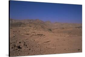 Valley of the Gazelles on the Road to St. Catherine's Monastery, Sinai Desert, Egypt-Nelly Boyd-Stretched Canvas