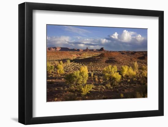 Valley of the Gods, Utah, USA-John Ford-Framed Photographic Print