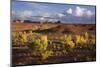 Valley of the Gods, Utah, USA-John Ford-Mounted Photographic Print