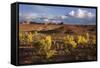 Valley of the Gods, Utah, USA-John Ford-Framed Stretched Canvas