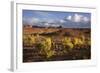 Valley of the Gods, Utah, USA-John Ford-Framed Photographic Print