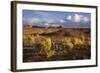 Valley of the Gods, Utah, USA-John Ford-Framed Photographic Print