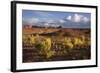 Valley of the Gods, Utah, USA-John Ford-Framed Photographic Print