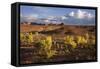 Valley of the Gods, Utah, USA-John Ford-Framed Stretched Canvas