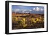 Valley of the Gods, Utah, USA-John Ford-Framed Photographic Print