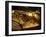 Valley of the Kings, Golden Coffin, Tutankhamun, Egypt-Kenneth Garrett-Framed Premium Photographic Print