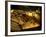 Valley of the Kings, Golden Coffin, Tutankhamun, Egypt-Kenneth Garrett-Framed Photographic Print