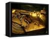 Valley of the Kings, Golden Coffin, Tutankhamun, Egypt-Kenneth Garrett-Framed Stretched Canvas