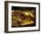 Valley of the Kings, Golden Coffin, Tutankhamun, Egypt-Kenneth Garrett-Framed Photographic Print