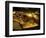 Valley of the Kings, Golden Coffin, Tutankhamun, Egypt-Kenneth Garrett-Framed Photographic Print