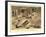 Valley of the Kings, Tut's Tomb-null-Framed Art Print