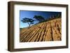 Valley of the Marvels-Jon Hicks-Framed Photographic Print