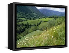 Valley of the River Berthe Near Accous, Bearn, Pyrenees, Aquitaine, France, Europe-David Hughes-Framed Stretched Canvas