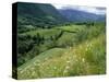 Valley of the River Berthe Near Accous, Bearn, Pyrenees, Aquitaine, France, Europe-David Hughes-Stretched Canvas