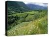 Valley of the River Berthe Near Accous, Bearn, Pyrenees, Aquitaine, France, Europe-David Hughes-Stretched Canvas
