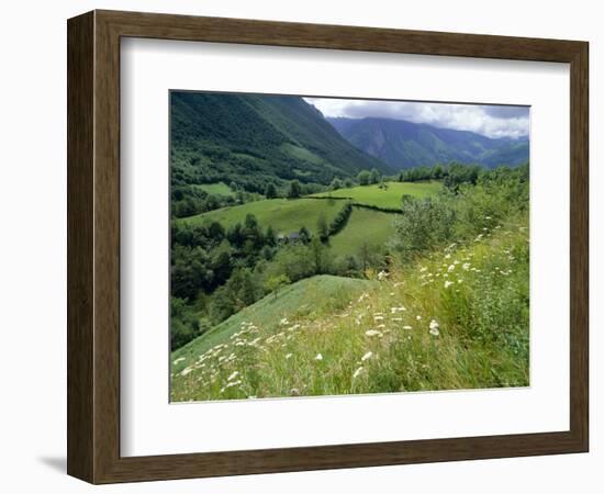 Valley of the River Berthe Near Accous, Bearn, Pyrenees, Aquitaine, France, Europe-David Hughes-Framed Photographic Print