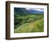 Valley of the River Berthe Near Accous, Bearn, Pyrenees, Aquitaine, France, Europe-David Hughes-Framed Photographic Print