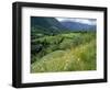 Valley of the River Berthe Near Accous, Bearn, Pyrenees, Aquitaine, France, Europe-David Hughes-Framed Photographic Print