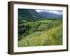 Valley of the River Berthe Near Accous, Bearn, Pyrenees, Aquitaine, France, Europe-David Hughes-Framed Photographic Print