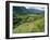 Valley of the River Berthe Near Accous, Bearn, Pyrenees, Aquitaine, France, Europe-David Hughes-Framed Photographic Print
