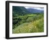 Valley of the River Berthe Near Accous, Bearn, Pyrenees, Aquitaine, France, Europe-David Hughes-Framed Photographic Print