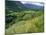 Valley of the River Berthe Near Accous, Bearn, Pyrenees, Aquitaine, France, Europe-David Hughes-Mounted Photographic Print