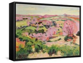 Valley of the Sedelle, 1916-Armand Guillaumin-Framed Stretched Canvas