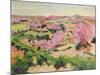 Valley of the Sedelle, 1916-Armand Guillaumin-Mounted Giclee Print