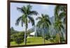 Valley of the Temples, Kaneohe, Oahu, Hawaii-Michael DeFreitas-Framed Photographic Print