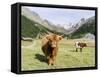 Valley Pfossental, Tyrol, Austria-Martin Zwick-Framed Stretched Canvas