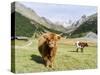 Valley Pfossental, Tyrol, Austria-Martin Zwick-Stretched Canvas