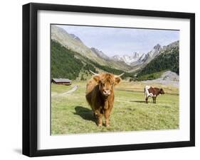 Valley Pfossental, Tyrol, Austria-Martin Zwick-Framed Premium Photographic Print