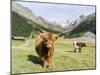 Valley Pfossental, Tyrol, Austria-Martin Zwick-Mounted Premium Photographic Print