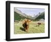 Valley Pfossental, Tyrol, Austria-Martin Zwick-Framed Photographic Print