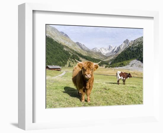 Valley Pfossental, Tyrol, Austria-Martin Zwick-Framed Photographic Print