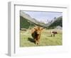 Valley Pfossental, Tyrol, Austria-Martin Zwick-Framed Photographic Print