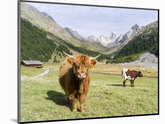 Valley Pfossental, Tyrol, Austria-Martin Zwick-Mounted Photographic Print