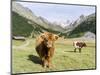Valley Pfossental, Tyrol, Austria-Martin Zwick-Mounted Photographic Print