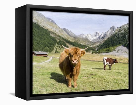 Valley Pfossental, Tyrol, Austria-Martin Zwick-Framed Stretched Canvas