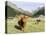 Valley Pfossental, Tyrol, Austria-Martin Zwick-Stretched Canvas