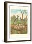 Valley Quail Nest and Eggs-null-Framed Art Print