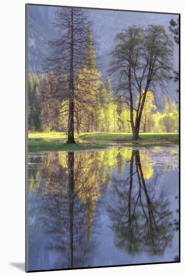 Valley Reflections at Yosemite-Vincent James-Mounted Photographic Print