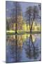 Valley Reflections at Yosemite-Vincent James-Mounted Photographic Print