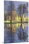 Valley Reflections at Yosemite-Vincent James-Mounted Photographic Print