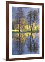 Valley Reflections at Yosemite-Vincent James-Framed Photographic Print