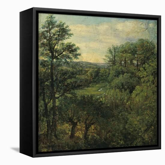 Valley Scene with Trees-John Constable-Framed Stretched Canvas